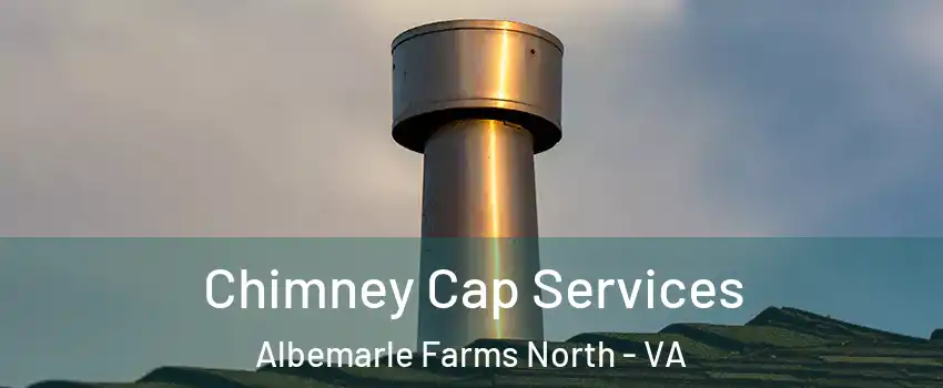 Chimney Cap Services Albemarle Farms North - VA