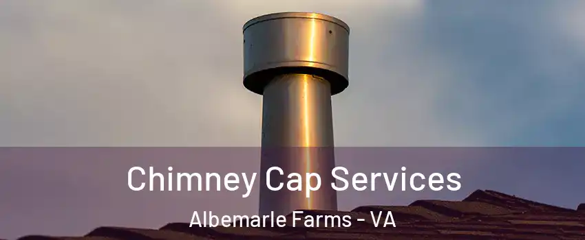 Chimney Cap Services Albemarle Farms - VA