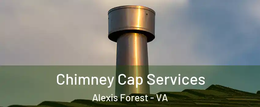 Chimney Cap Services Alexis Forest - VA