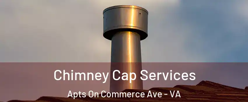 Chimney Cap Services Apts On Commerce Ave - VA