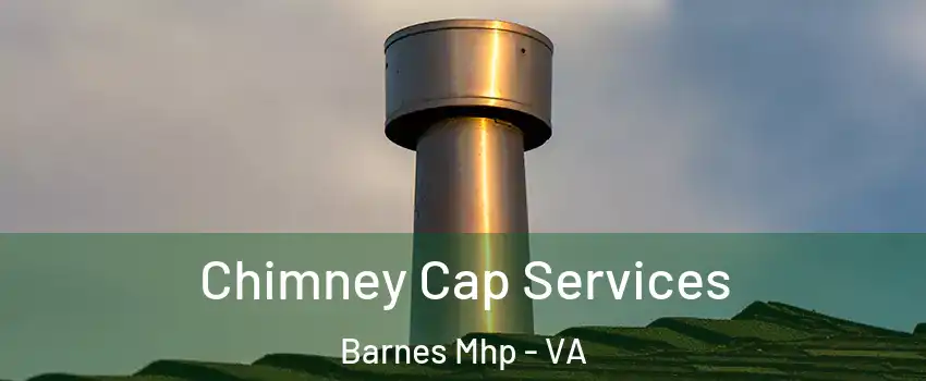 Chimney Cap Services Barnes Mhp - VA