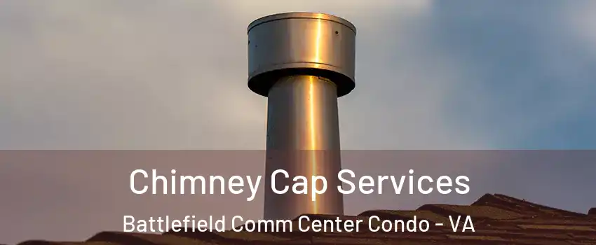 Chimney Cap Services Battlefield Comm Center Condo - VA