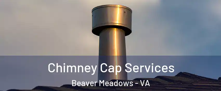 Chimney Cap Services Beaver Meadows - VA