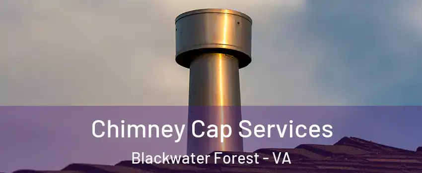 Chimney Cap Services Blackwater Forest - VA