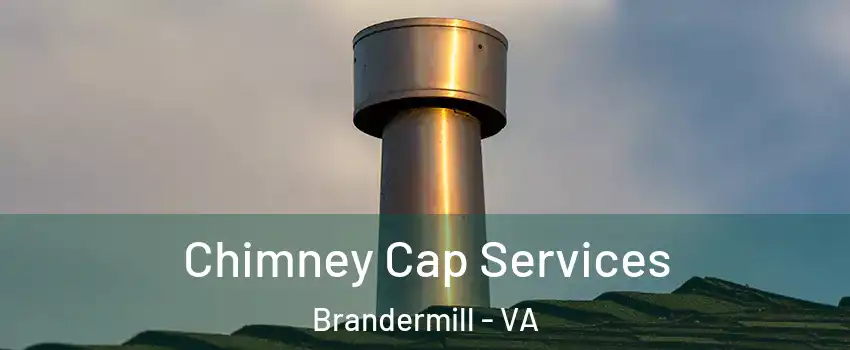 Chimney Cap Services Brandermill - VA