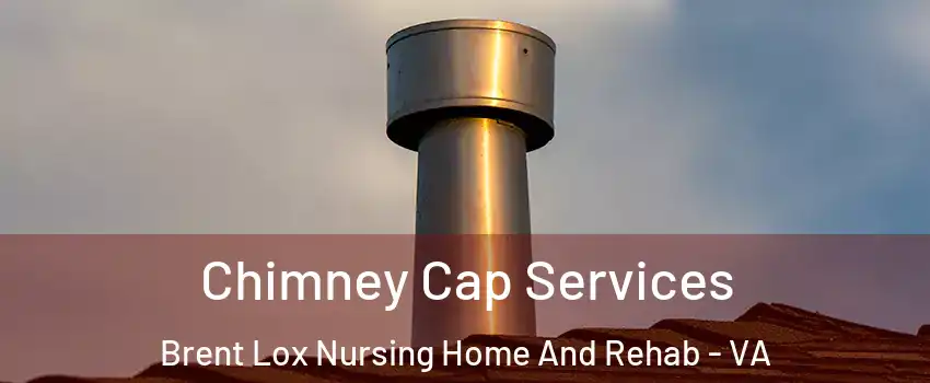 Chimney Cap Services Brent Lox Nursing Home And Rehab - VA