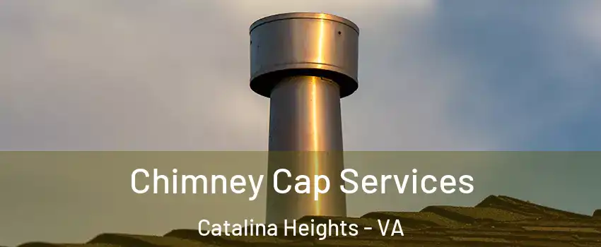 Chimney Cap Services Catalina Heights - VA