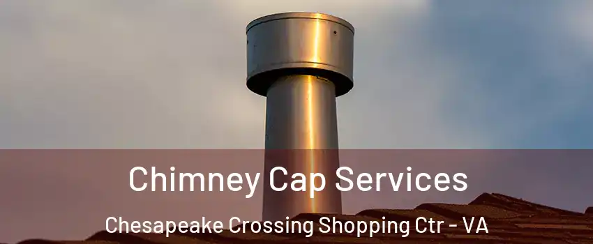 Chimney Cap Services Chesapeake Crossing Shopping Ctr - VA