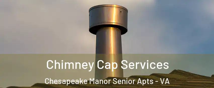 Chimney Cap Services Chesapeake Manor Senior Apts - VA