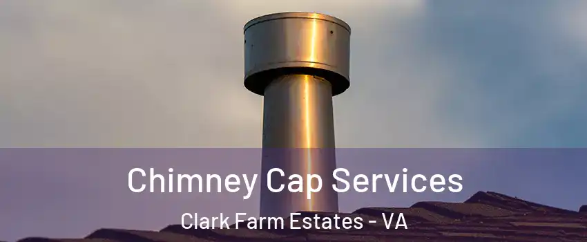 Chimney Cap Services Clark Farm Estates - VA