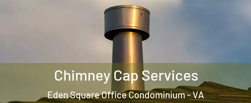 Chimney Cap Services Eden Square Office Condominium - VA