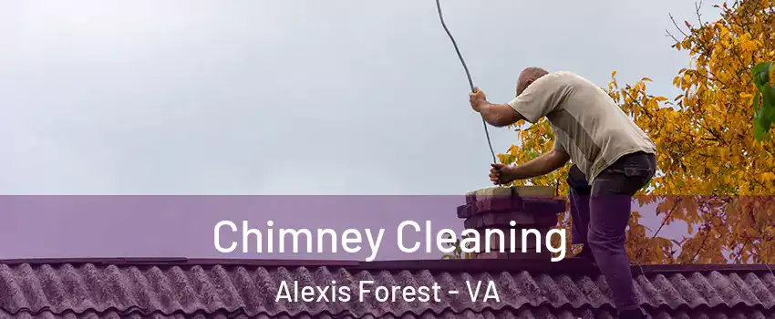 Chimney Cleaning Alexis Forest - VA