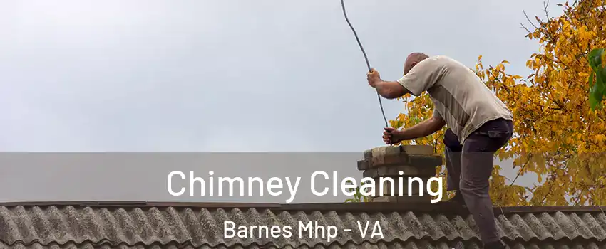 Chimney Cleaning Barnes Mhp - VA