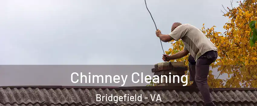 Chimney Cleaning Bridgefield - VA