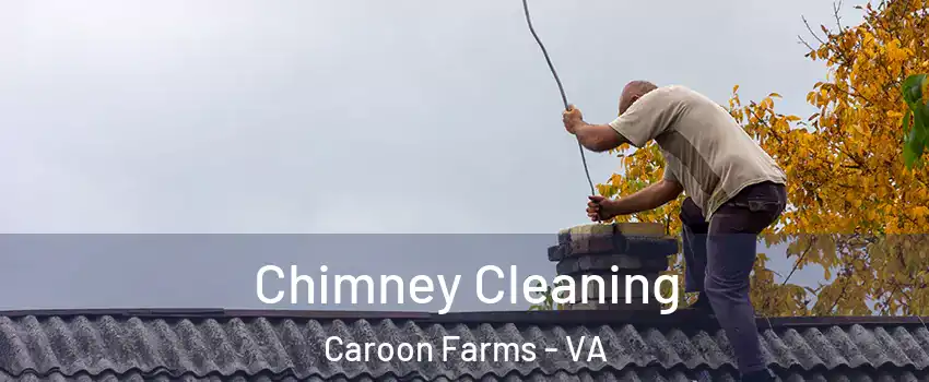 Chimney Cleaning Caroon Farms - VA