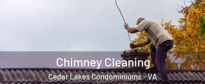 Chimney Cleaning Cedar Lakes Condominiums - VA