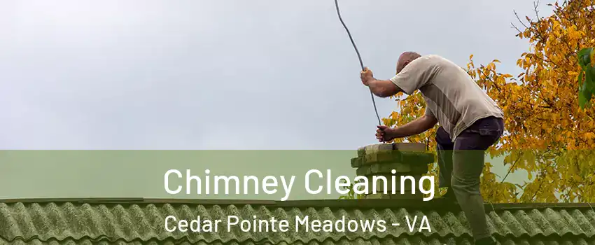 Chimney Cleaning Cedar Pointe Meadows - VA