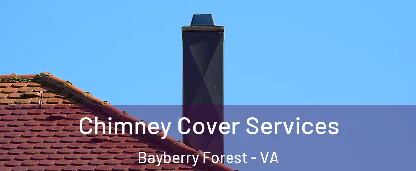 Chimney Cover Services Bayberry Forest - VA