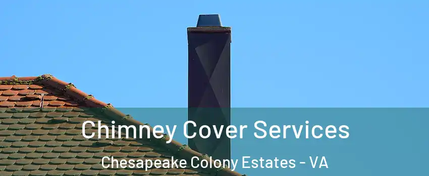 Chimney Cover Services Chesapeake Colony Estates - VA