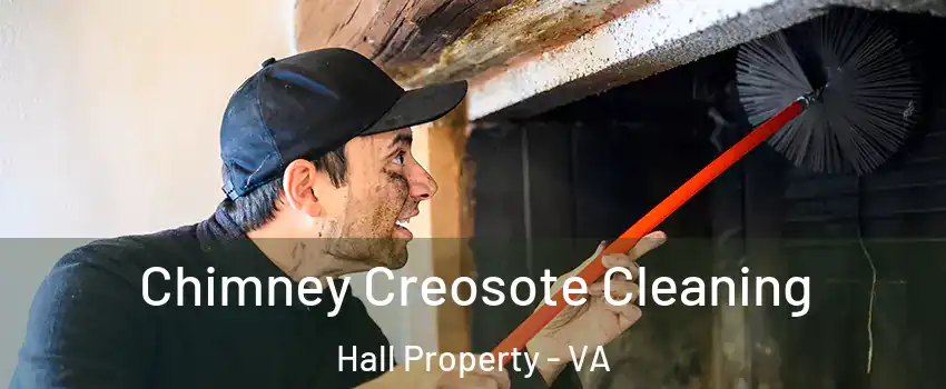 Chimney Creosote Cleaning Hall Property - VA