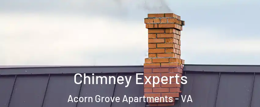 Chimney Experts Acorn Grove Apartments - VA