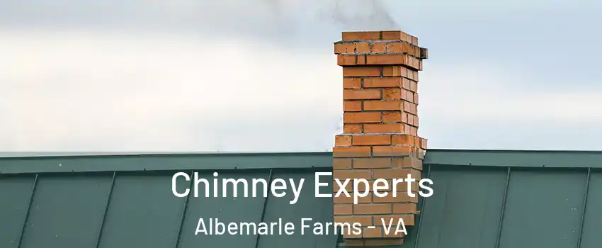 Chimney Experts Albemarle Farms - VA