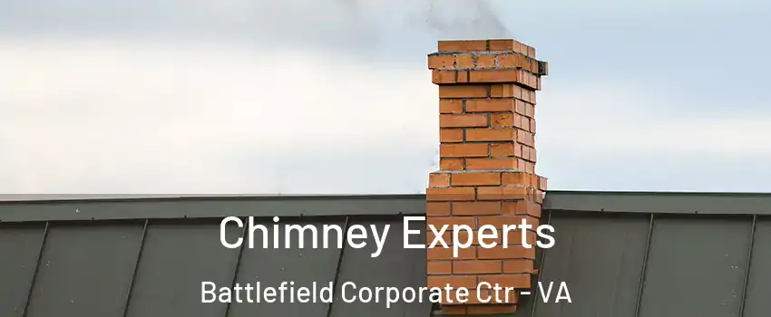 Chimney Experts Battlefield Corporate Ctr - VA