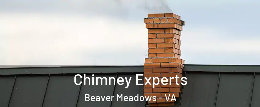 Chimney Experts Beaver Meadows - VA