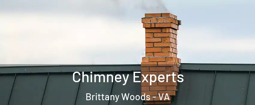 Chimney Experts Brittany Woods - VA