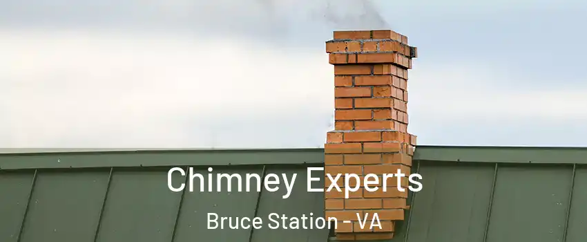 Chimney Experts Bruce Station - VA