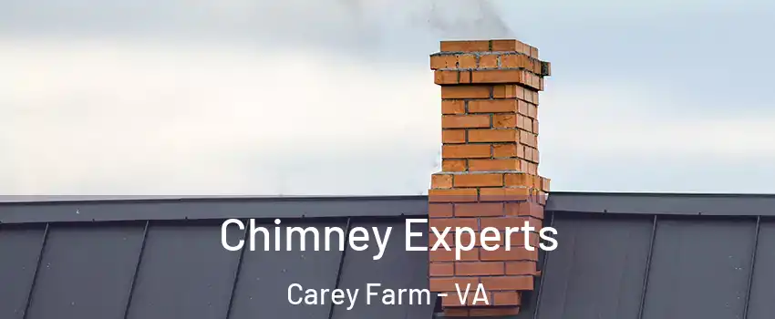 Chimney Experts Carey Farm - VA