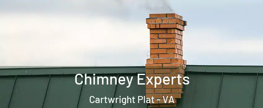 Chimney Experts Cartwright Plat - VA