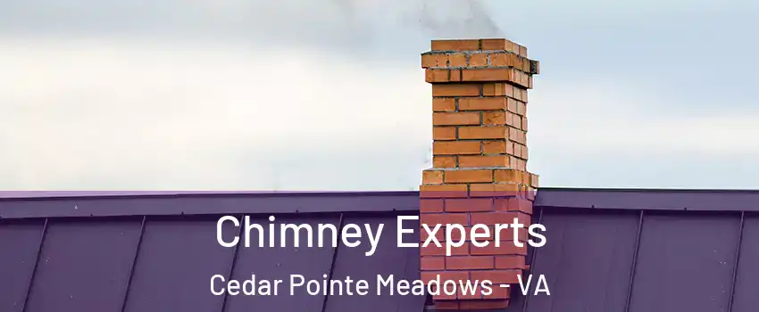 Chimney Experts Cedar Pointe Meadows - VA