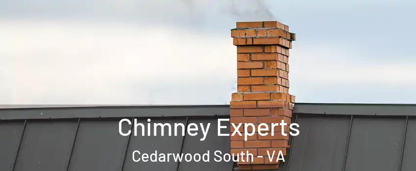 Chimney Experts Cedarwood South - VA