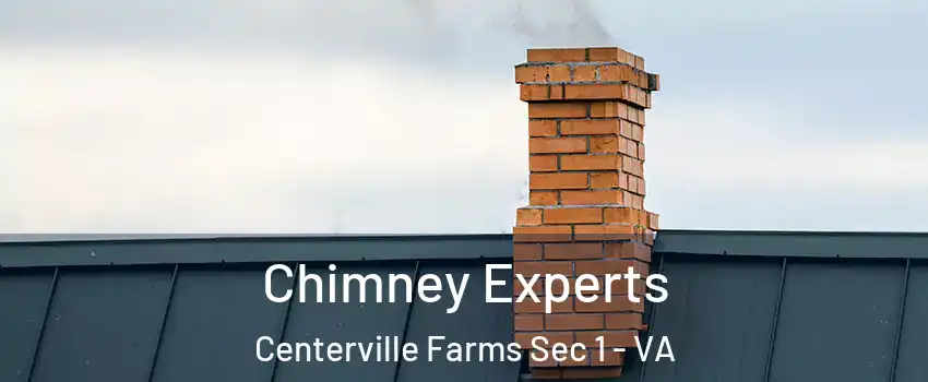 Chimney Experts Centerville Farms Sec 1 - VA