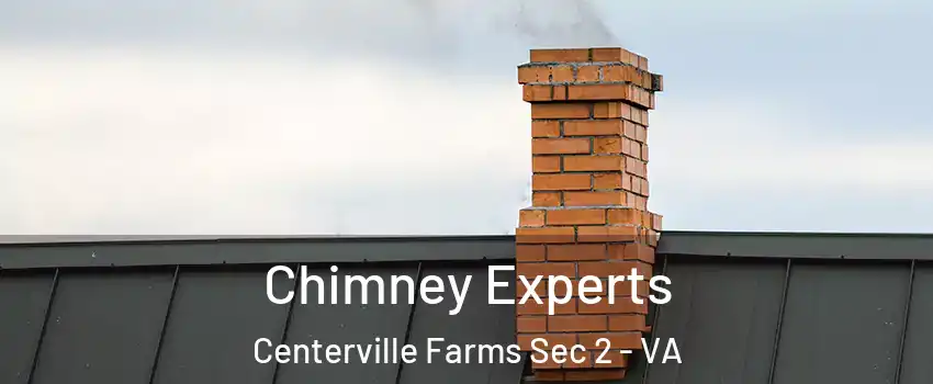 Chimney Experts Centerville Farms Sec 2 - VA