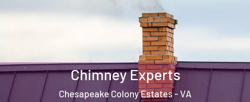 Chimney Experts Chesapeake Colony Estates - VA