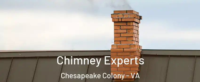 Chimney Experts Chesapeake Colony - VA