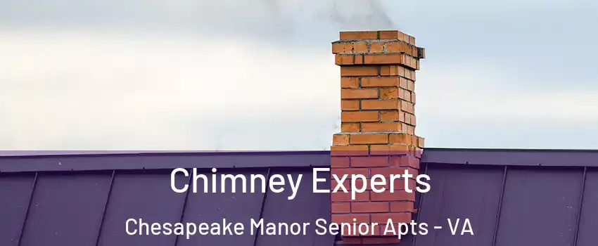 Chimney Experts Chesapeake Manor Senior Apts - VA