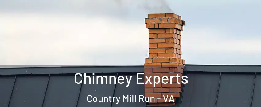 Chimney Experts Country Mill Run - VA