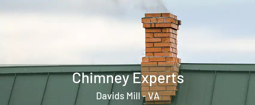 Chimney Experts Davids Mill - VA