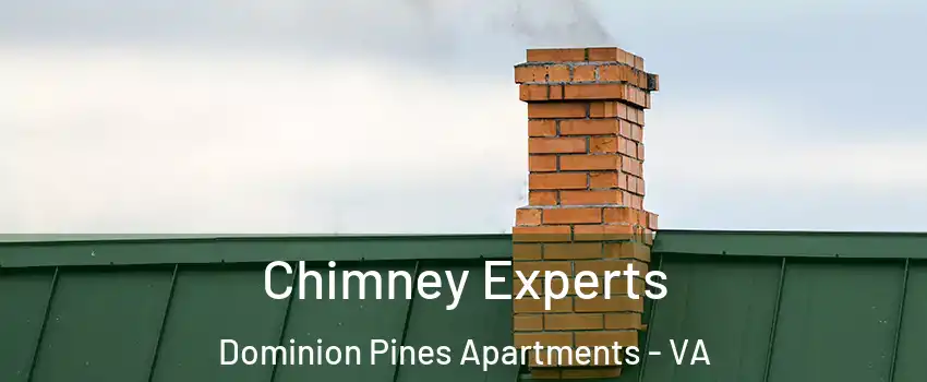 Chimney Experts Dominion Pines Apartments - VA