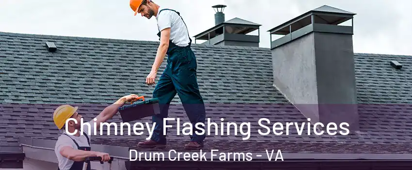 Chimney Flashing Services Drum Creek Farms - VA