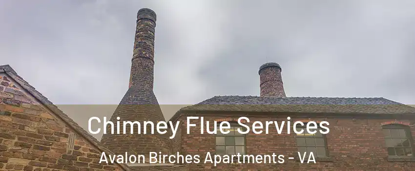 Chimney Flue Services Avalon Birches Apartments - VA