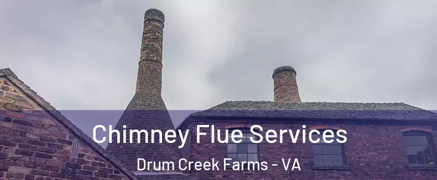 Chimney Flue Services Drum Creek Farms - VA