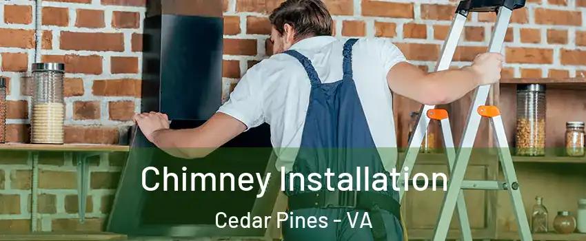 Chimney Installation Cedar Pines - VA