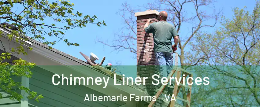 Chimney Liner Services Albemarle Farms - VA