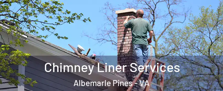 Chimney Liner Services Albemarle Pines - VA