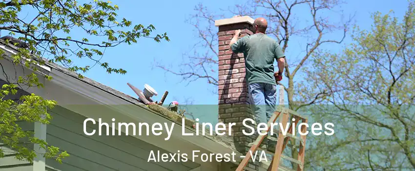 Chimney Liner Services Alexis Forest - VA