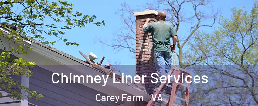 Chimney Liner Services Carey Farm - VA